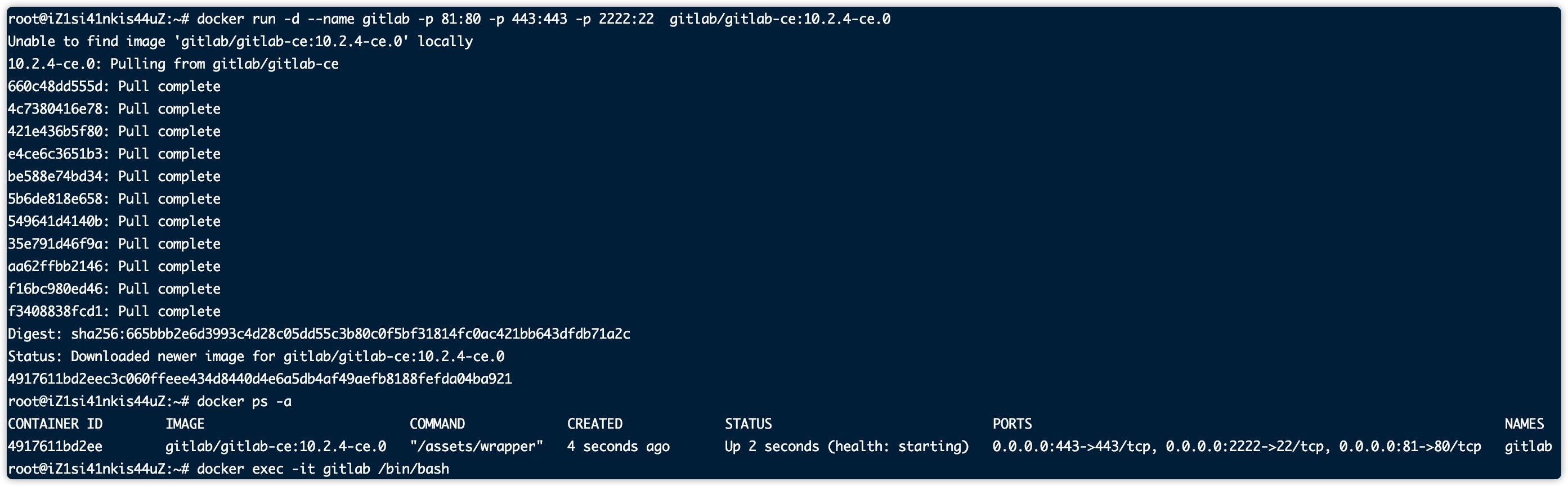 GitLab任意文件读取漏洞复现-VTF-漏洞文库小世界-安全文库-NGC660安全实验室
